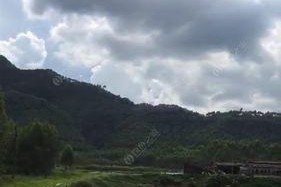 废弃鱼池钓鱼技巧有哪些？如何提高废弃鱼池的钓鱼成功率？