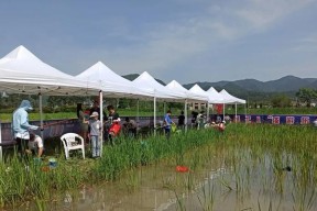 海岛钓鱼钓龙虾的技巧与方法（掌握海岛钓鱼，收获龙虾满盆）