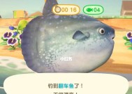 东森入海口钓鱼技巧有哪些？如何提高钓鱼成功率？