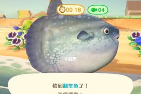 东森入海口钓鱼技巧有哪些？如何提高钓鱼成功率？