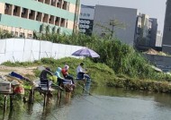 池塘夜间钓鱼选位置技巧是什么？如何提高夜间钓鱼的成功率？