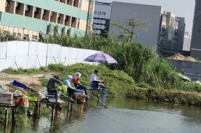 池塘夜间钓鱼选位置技巧是什么？如何提高夜间钓鱼的成功率？