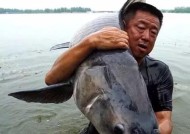 肥水钓鱼的必备技巧方法是什么？如何提高钓鱼效率？