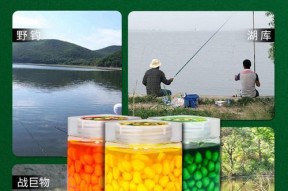 以水煮嫩玉米钓鱼技巧与方法（用玉米钓鱼）