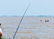 河流钓鱼技巧教程？如何提高河流钓鱼的成功率？
