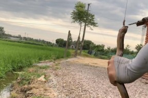 稻田水沟抛竿钓鱼技巧有哪些？如何提高钓鱼成功率？