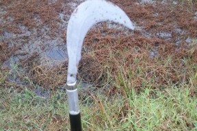 秋季草洞钓鱼技巧（挖掘草洞钓获丰收）