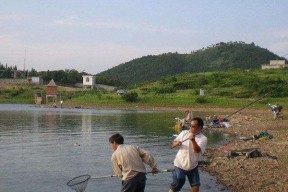 冬天野钓一小时200条技巧（寒冬寻找野钓方法）