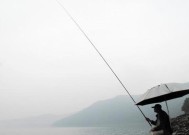 六月中下旬钓鱼技巧有哪些？如何提高钓鱼成功率？