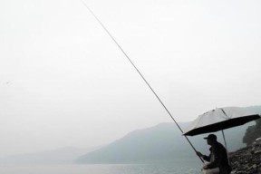 六月中下旬钓鱼技巧有哪些？如何提高钓鱼成功率？
