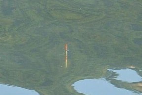 如何在湍急河流中调整浮漂？调漂技巧有哪些常见问题？