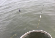 东平湖钓鱼技巧大全（掌握东平湖钓鱼的技巧，成为钓鱼高手！）