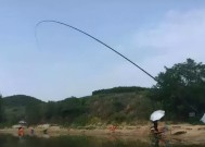 荷花池钓鱼技巧有哪些？如何提高钓获率？