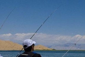 夏日钓鱼技巧大揭秘（夏天出钓鱼需了解的七个技巧）