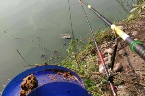 中秋鲤鱼钓鱼技巧（钓鱼技巧帮你成功捕获中秋鲤鱼）