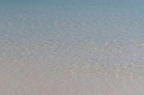 钓鱼挖沙子的技巧和方法（掌握河湖之道，善用钓鱼技巧）