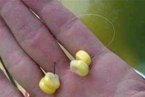电子漂钓底钓浮怎么调？有哪些技巧？