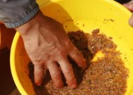 野钓拉饵技巧教学（掌握野钓拉饵的技巧）