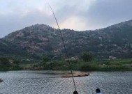 初夏在肥水塘钓鱼应该注意什么？有哪些有效的钓鱼技巧？