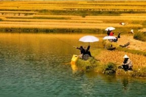 冷天死水钓鱼技巧（寒冷季节如何在死水中成功钓鱼）
