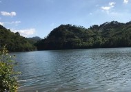 东溪水库钓鱼技巧有哪些？如何提高钓鱼成功率？
