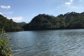 东溪水库钓鱼技巧有哪些？如何提高钓鱼成功率？