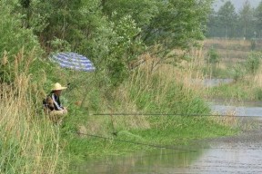 夏天天气阴凉下的钓鱼技巧和方法（享受清凉夏日）