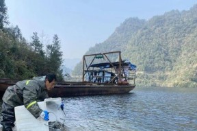 恩施水库垂钓技巧有哪些？如何提高垂钓成功率？