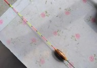 搓饵钓鱼的调漂技巧（掌握关键技巧）