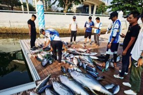 潮汐钓鱼技巧教学？如何根据潮汐变化选择最佳钓鱼时机？