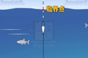 调平水的钓鱼技巧是什么？如何有效提高钓鱼成功率？