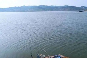 三伏天野外钓鱼技巧（夏季野外钓鱼技巧及注意事项）
