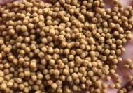 浮水颗粒钓黑坑打浮技巧是什么？如何有效提高钓黑坑的技巧？