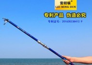 迎风抛竿钓鱼技巧大揭秘（迎风抛竿钓鱼技巧教程）
