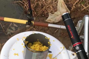 钓鱼反手抛投技巧（提升钓鱼技术，掌握反手抛投的诀窍）