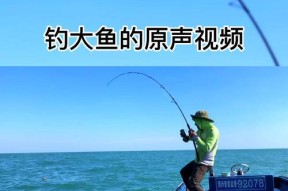 北海钓鱼技巧与方法（探秘北海钓鱼的最佳策略与窍门）
