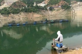 秋分前后水库钓鱼技巧（提高钓鱼成功率的实用技巧）