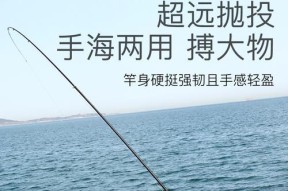 矾竿钓鱼线组技巧（提升钓鱼成功率的关键是正确运用矾竿钓鱼线组）