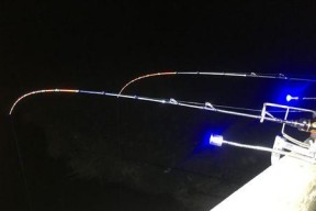 筏钓竿钓鲫鱼技巧有哪些？如何提高钓鲫鱼的成功率？