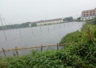小雨垂钓技巧大揭秘（掌握关键）
