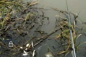海水急流下的钓鱼技巧（以急流为助力）