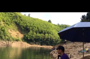 湖泊河道钓鱼技巧（提高钓鱼成功率的有效方法）
