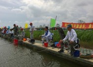 黑坑垂钓小技巧有哪些？如何提高钓获率？