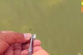 如何掌握钓鱼调漂找底技巧？常见误区有哪些？