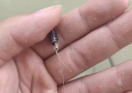 钓鱼线切线技巧法（提高钓鱼技巧的关键方法）