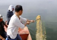 肥水钓鱼打窝技巧有哪些？如何正确使用打窝技巧提高钓鱼效率？