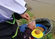 走水钓鱼的正确方法和技巧（享受自然乐趣）