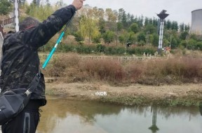 初春河流钓鱼技巧有哪些？如何提高钓鱼成功率？