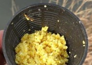 水瓶钓鱼技巧大揭秘（实用技巧助你成为高手）