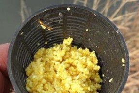 水瓶钓鱼技巧大揭秘（实用技巧助你成为高手）